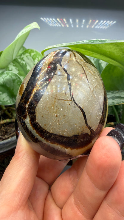 Septarian Egg- Madagascar