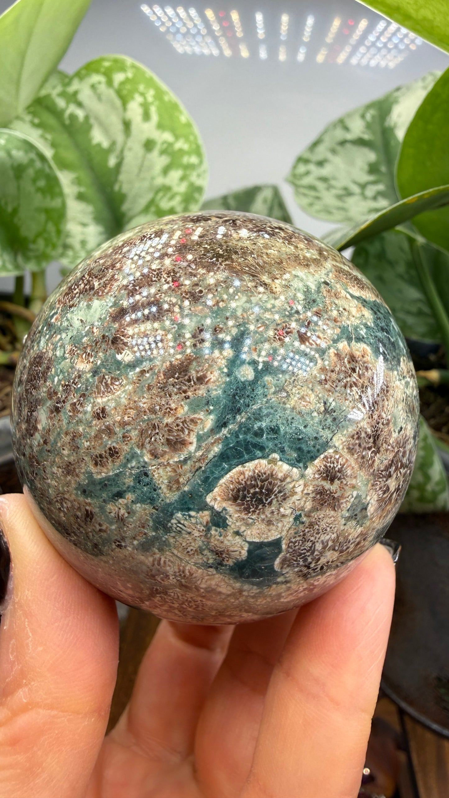 Orbicular Rhyolite Sphere- 2.5" inches- Mexico