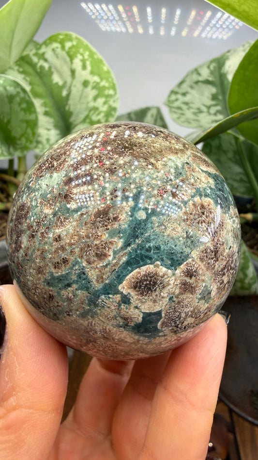 Orbicular Rhyolite Sphere- 2.5" inches- Mexico