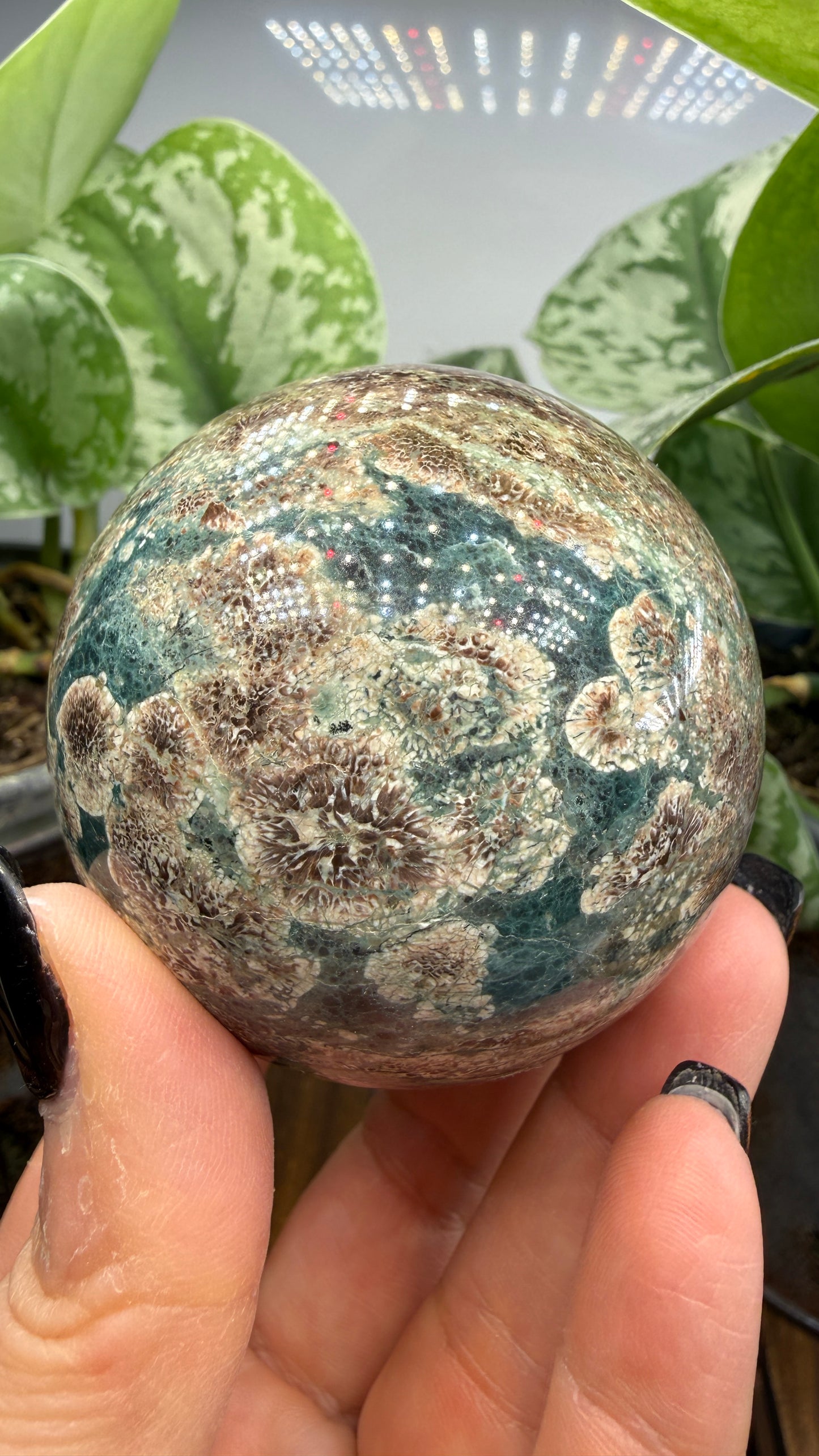 Orbicular Rhyolite Sphere- 2.5" inches- Mexico