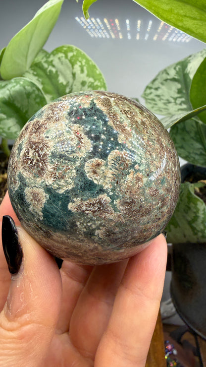 Orbicular Rhyolite Sphere- 2.5" inches- Mexico