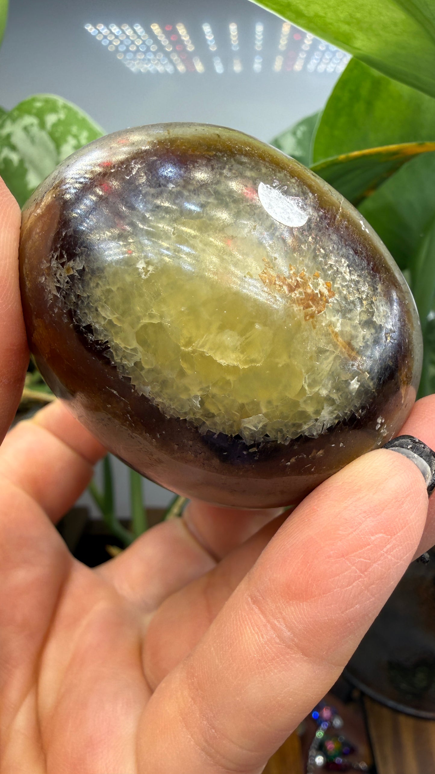 Septarian Freeform- Madagascar