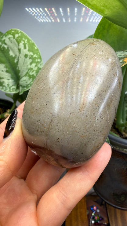 Septarian Freeform- Madagascar