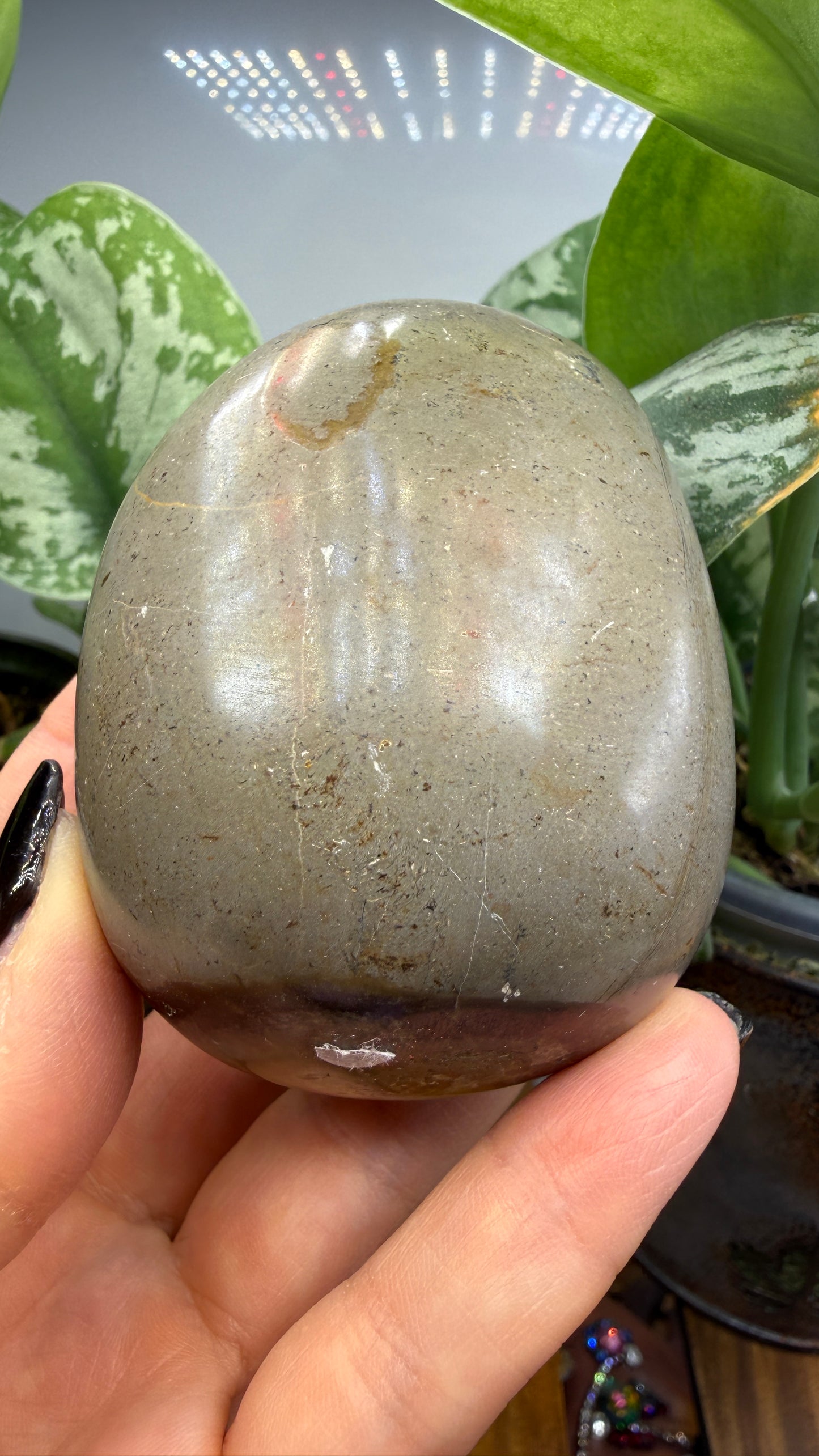 Septarian Freeform- Madagascar