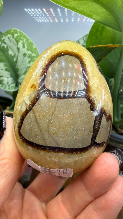 Septarian Egg- Madagascar