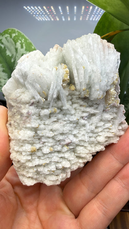 Cookeite, Lepidolite, Albite- Itinga, Bahia, Brazil