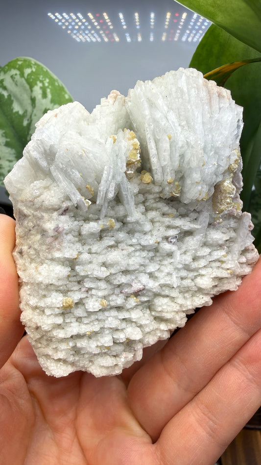 Cookeite, Lepidolite, Albite- Itinga, Bahia, Brazil