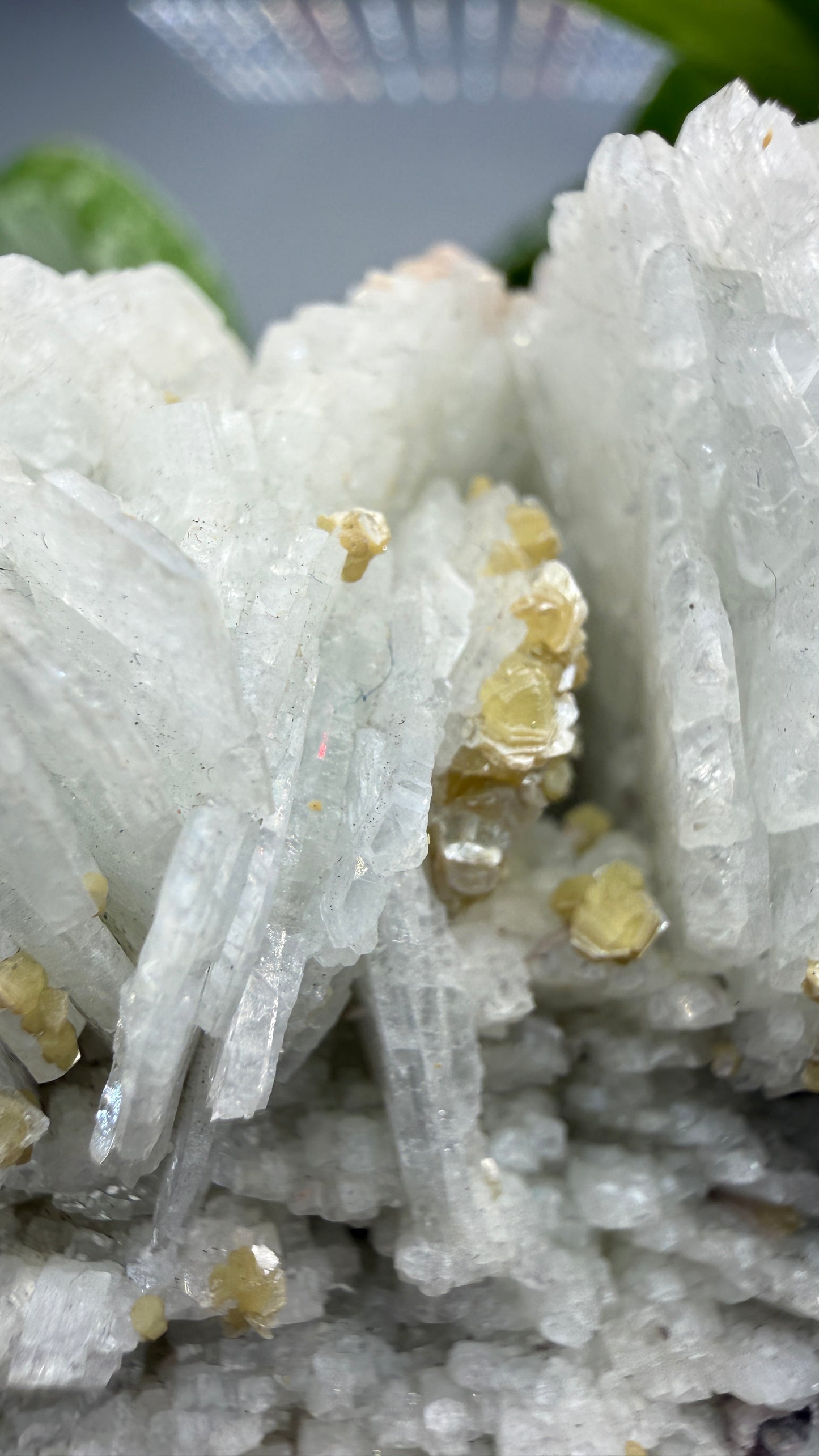 Cookeite, Lepidolite, Albite- Itinga, Bahia, Brazil
