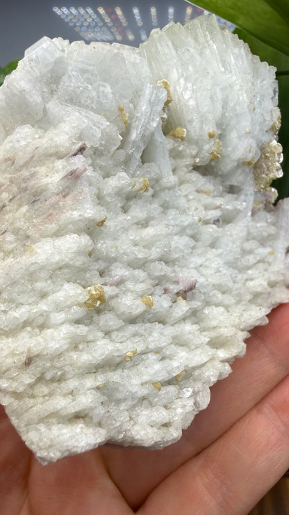 Cookeite, Lepidolite, Albite- Itinga, Bahia, Brazil