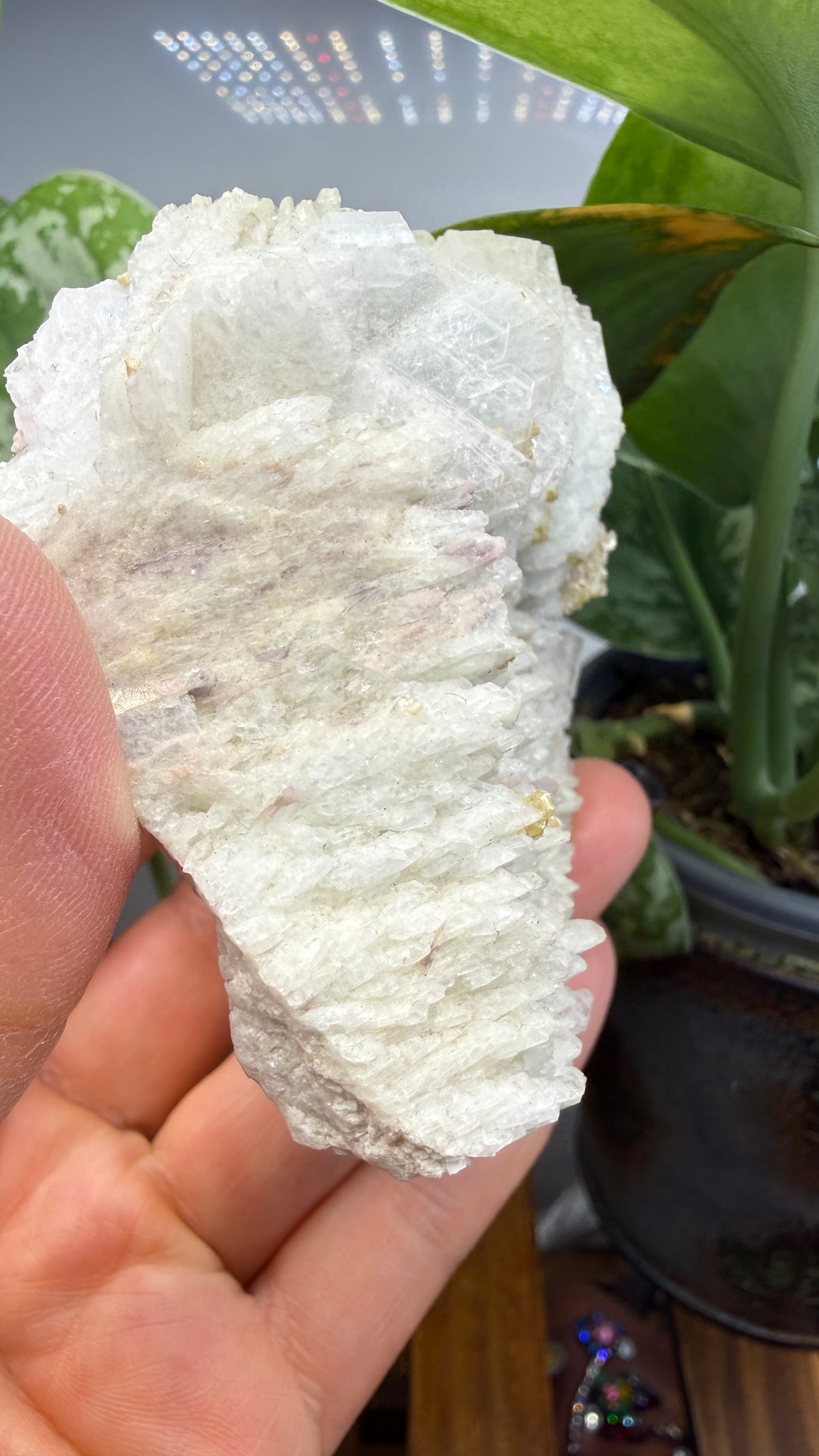 Cookeite, Lepidolite, Albite- Itinga, Bahia, Brazil