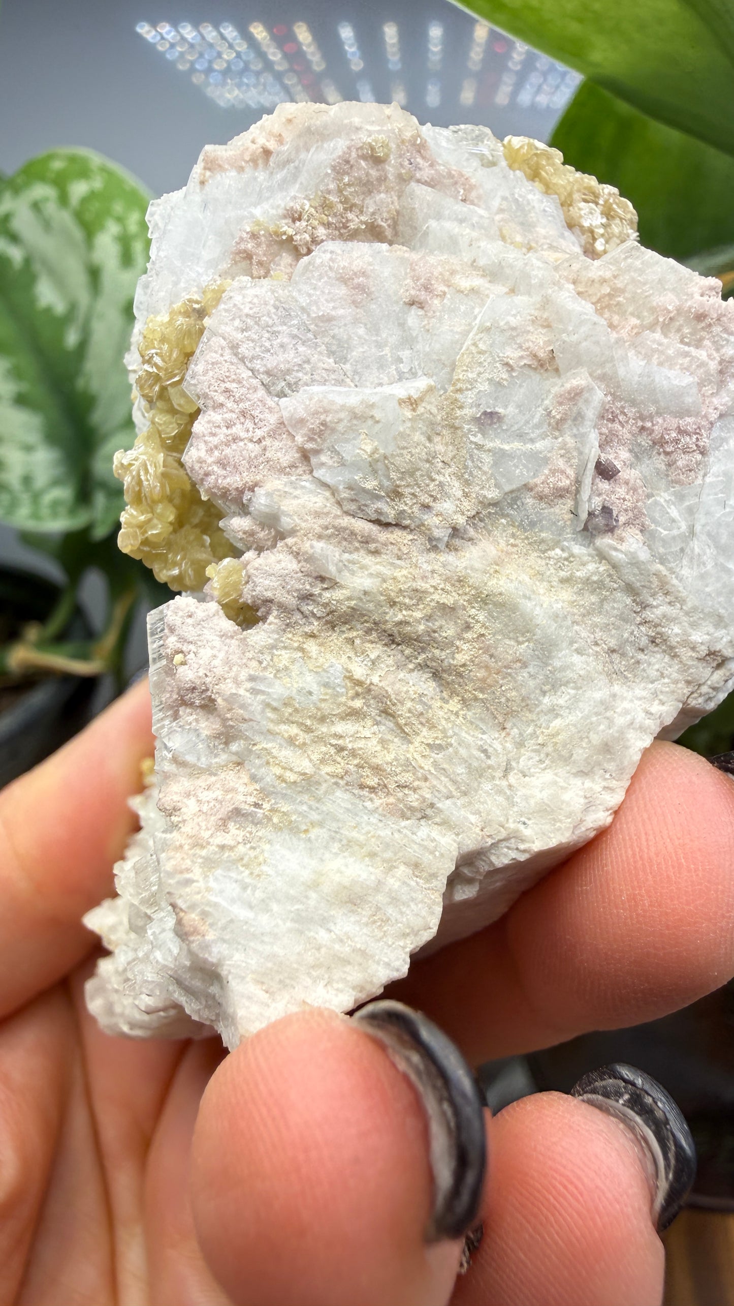 Cookeite, Lepidolite, Albite- Itinga, Bahia, Brazil