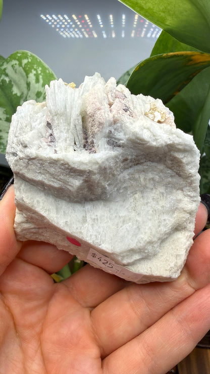 Cookeite, Lepidolite, Albite- Itinga, Bahia, Brazil