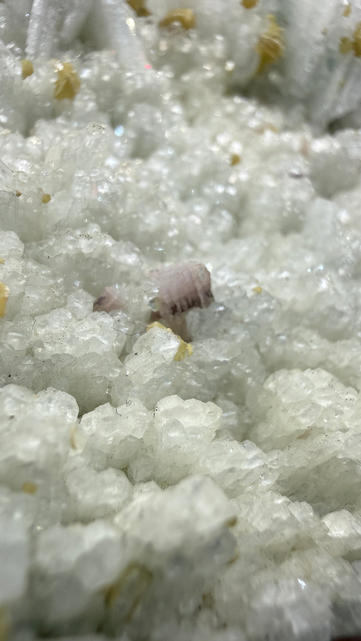Cookeite, Lepidolite, Albite- Itinga, Bahia, Brazil