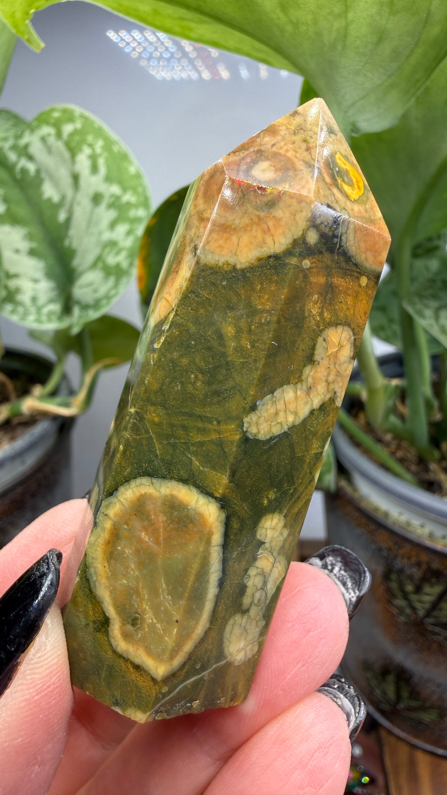 Ocean Jasper® Tower- Analalava District, Sofia Region, Madagascar