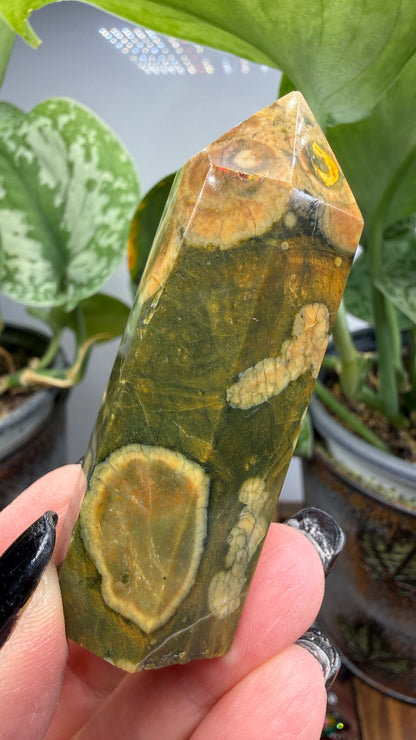 Ocean Jasper® Tower- Analalava District, Sofia Region, Madagascar