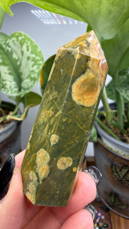 Ocean Jasper® Tower- Analalava District, Sofia Region, Madagascar