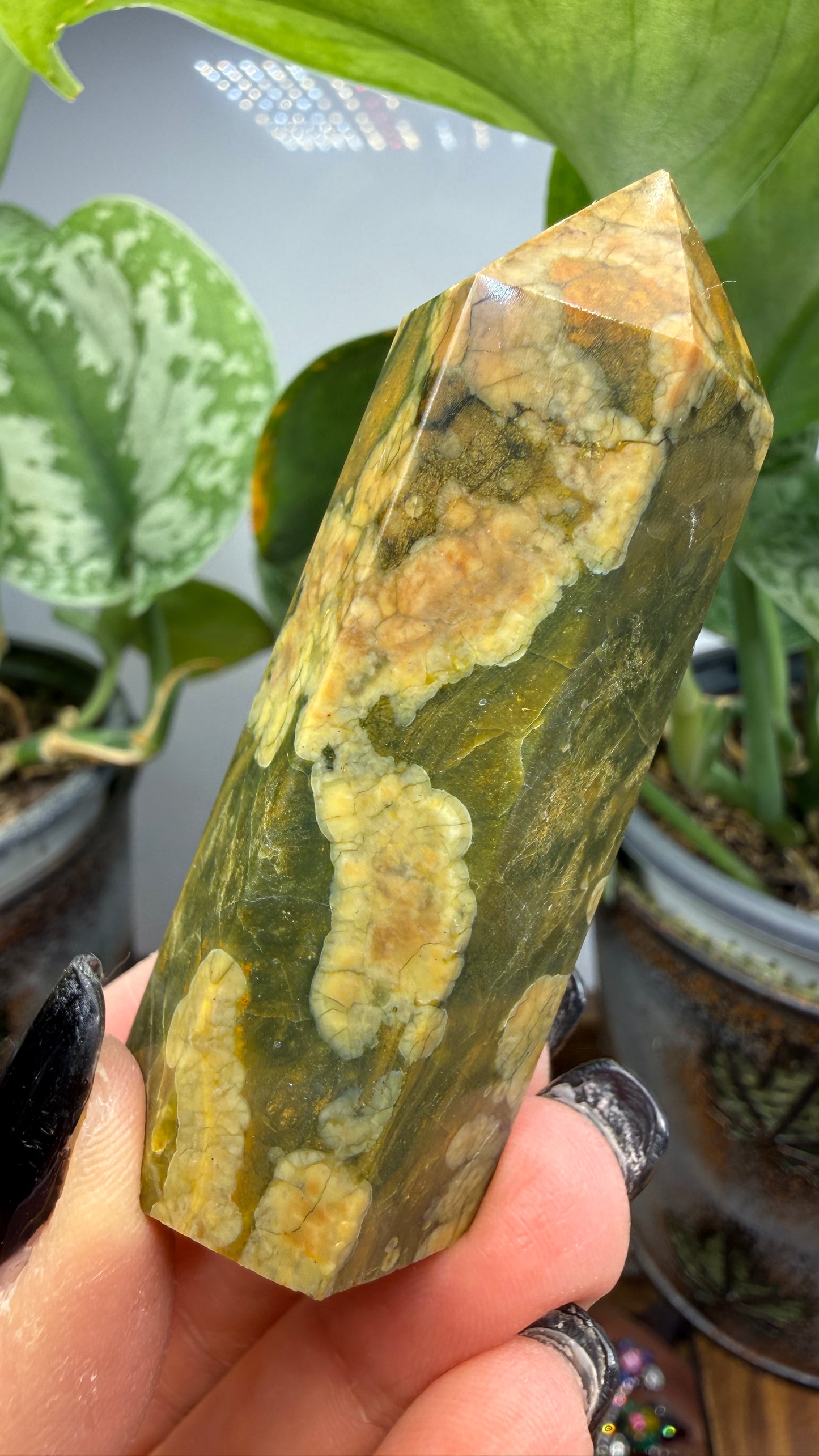 Ocean Jasper® Tower- Analalava District, Sofia Region, Madagascar