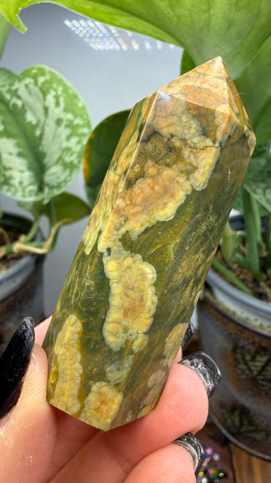 Ocean Jasper® Tower- Analalava District, Sofia Region, Madagascar