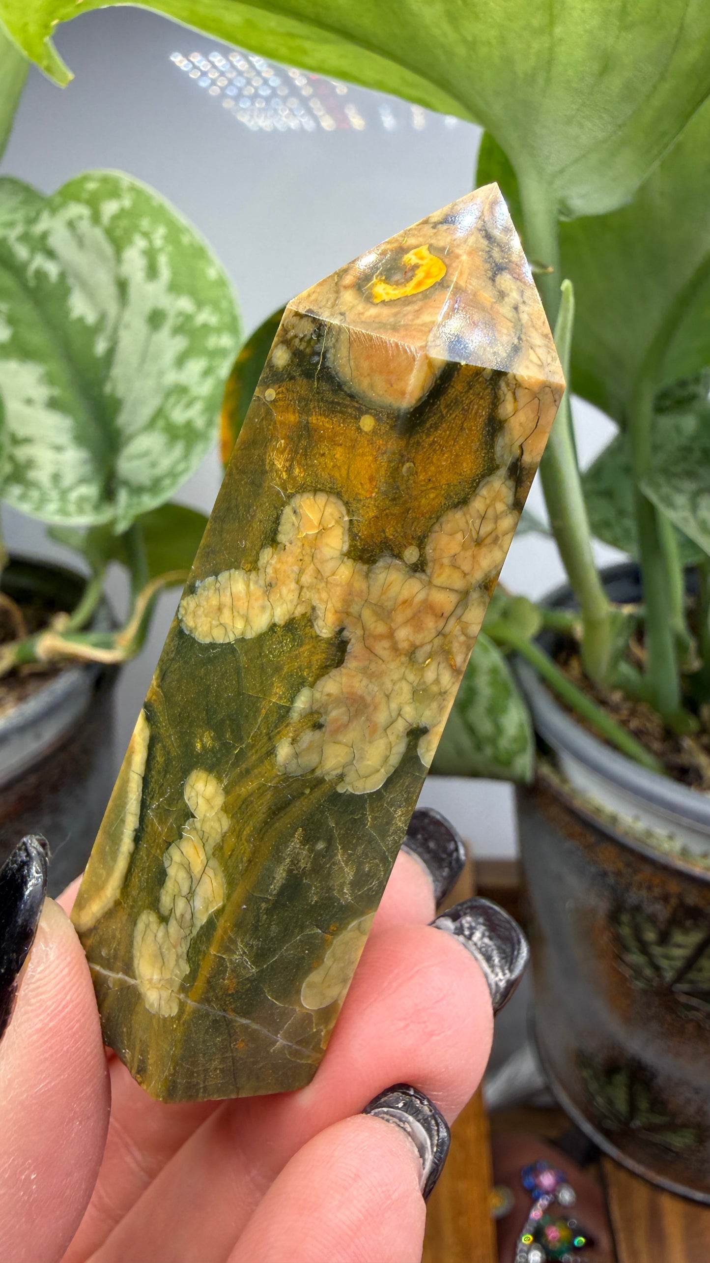 Ocean Jasper® Tower- Analalava District, Sofia Region, Madagascar