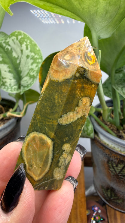 Ocean Jasper® Tower- Analalava District, Sofia Region, Madagascar