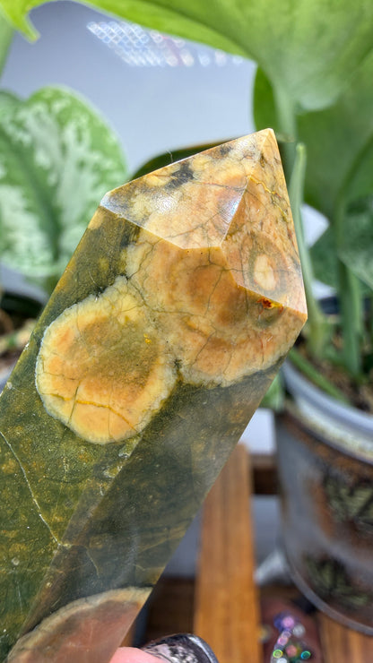 Ocean Jasper® Tower- Analalava District, Sofia Region, Madagascar