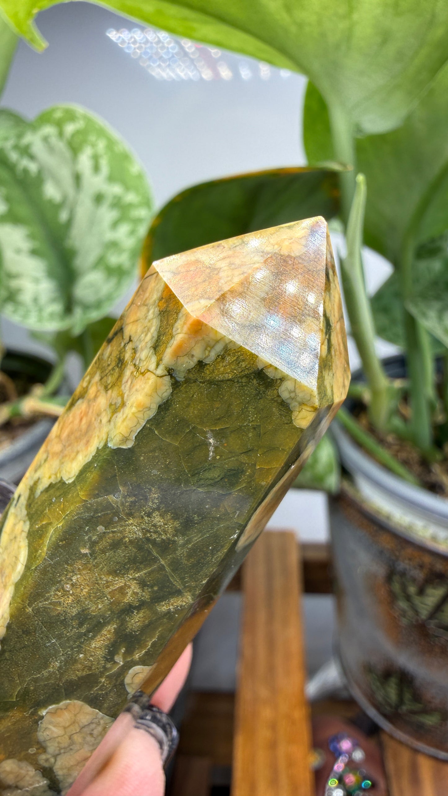 Ocean Jasper® Tower- Analalava District, Sofia Region, Madagascar