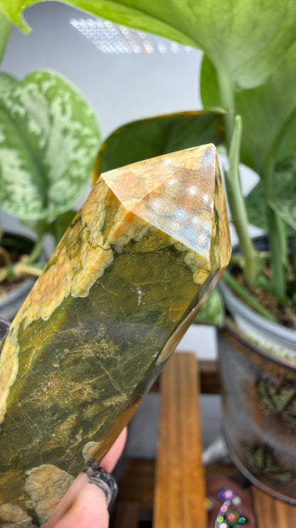 Ocean Jasper® Tower- Analalava District, Sofia Region, Madagascar
