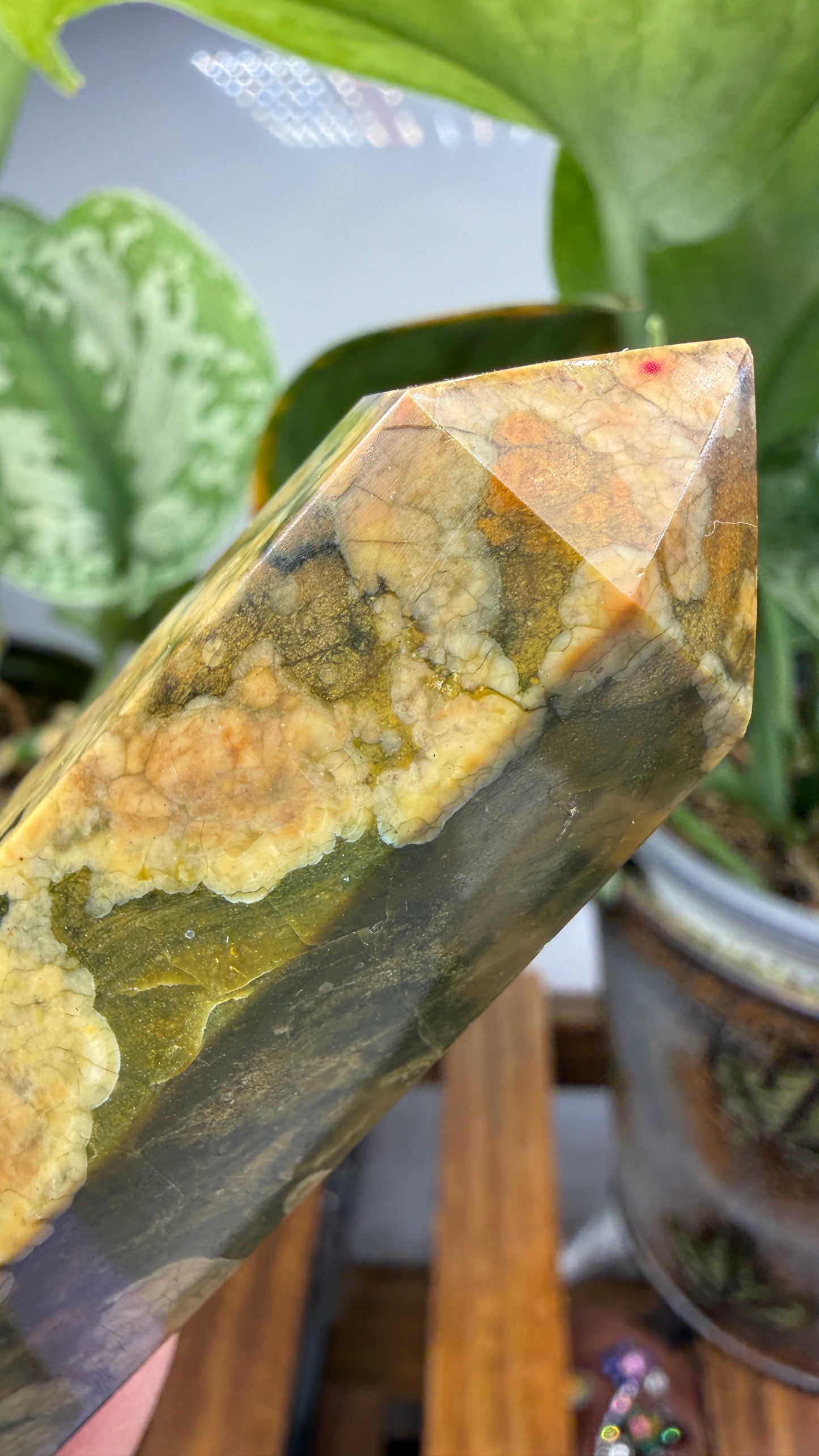 Ocean Jasper® Tower- Analalava District, Sofia Region, Madagascar