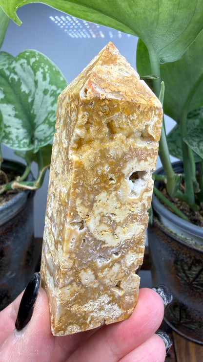 Crazy Lace Agate Tower