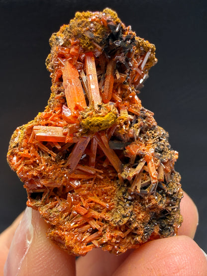 Crocoite- Dundas, Tasmania, Australia