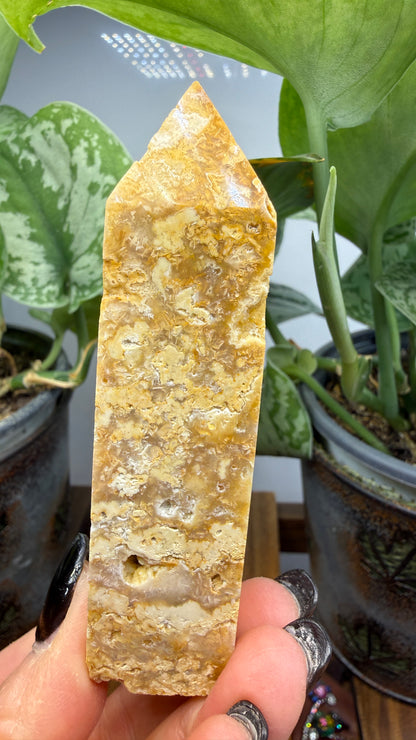 Crazy Lace Agate Tower