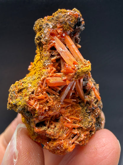 Crocoite- Dundas, Tasmania, Australia