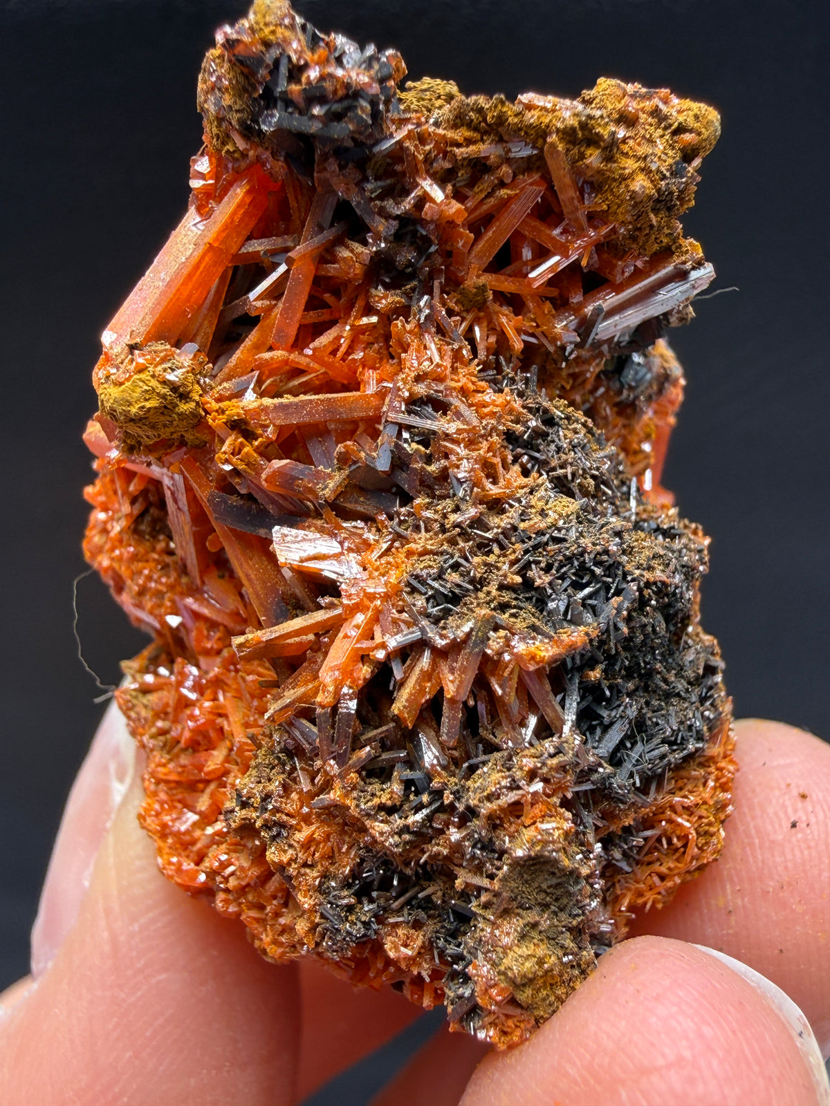 Crocoite- Dundas, Tasmania, Australia