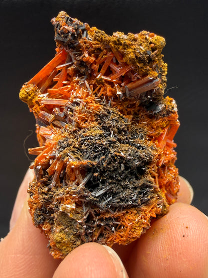 Crocoite- Dundas, Tasmania, Australia