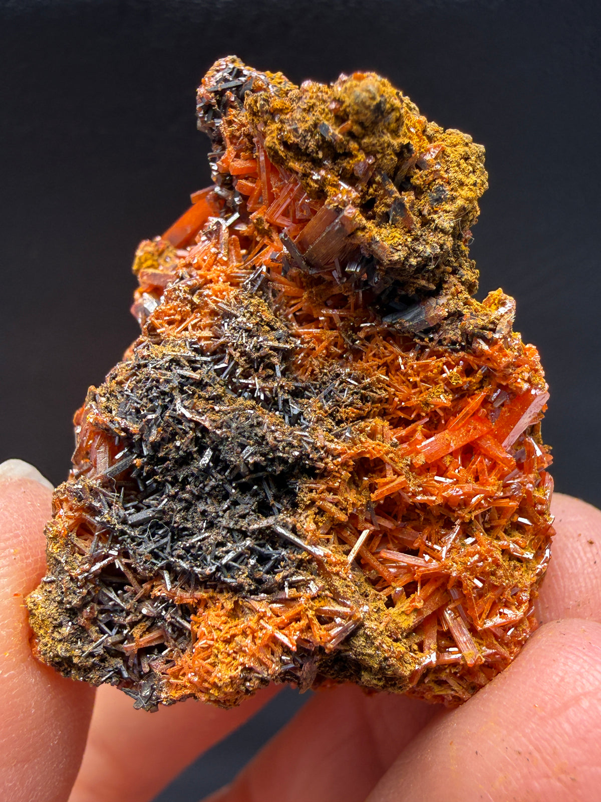 Crocoite- Dundas, Tasmania, Australia