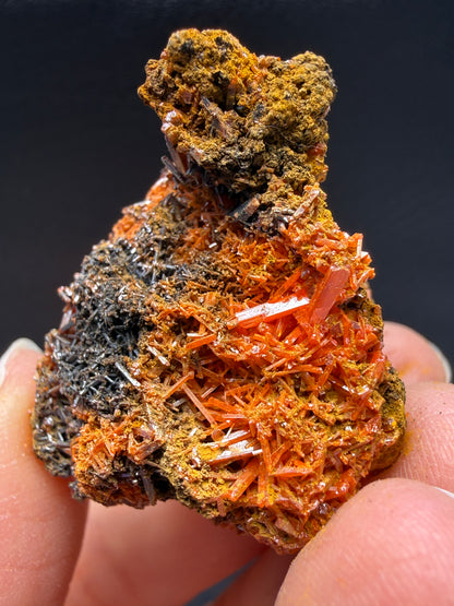 Crocoite- Dundas, Tasmania, Australia