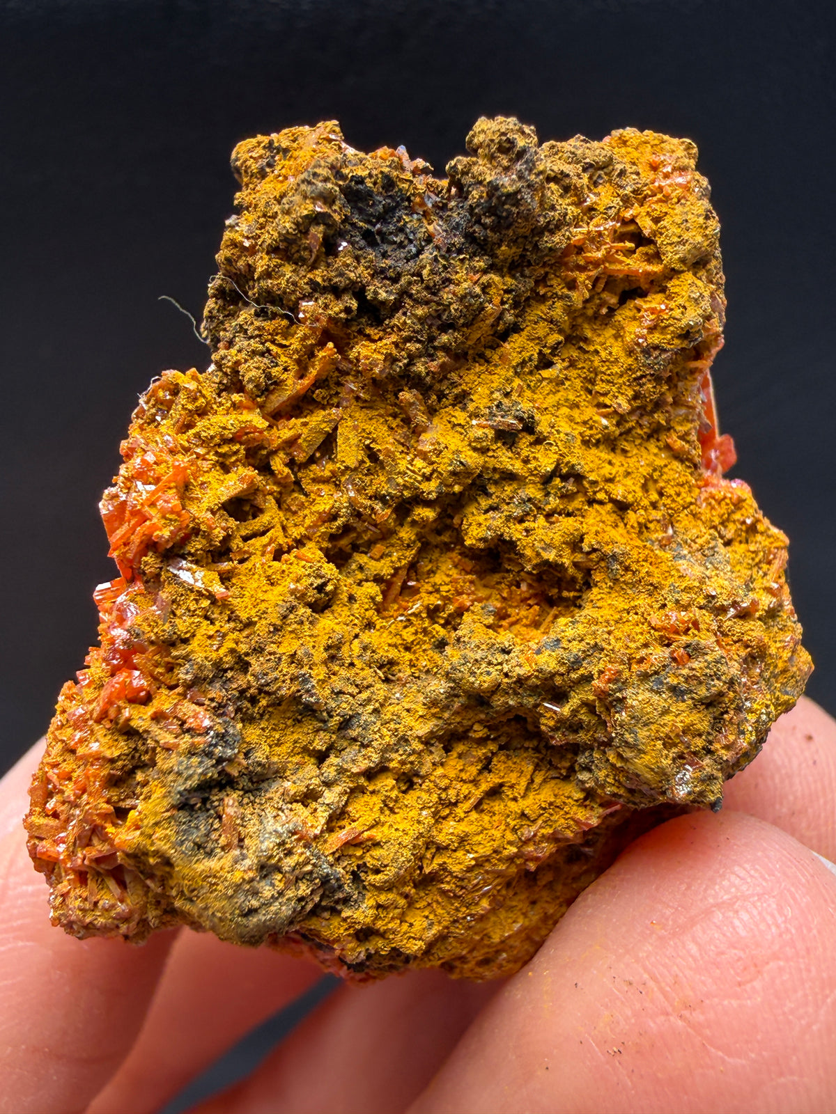 Crocoite- Dundas, Tasmania, Australia