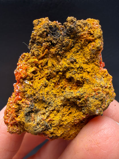 Crocoite- Dundas, Tasmania, Australia