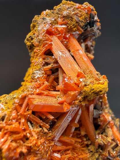 Crocoite- Dundas, Tasmania, Australia
