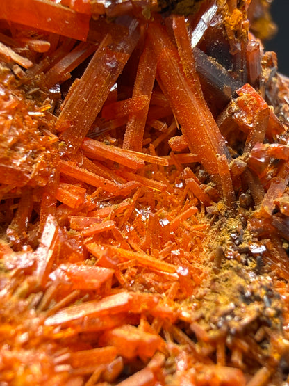 Crocoite- Dundas, Tasmania, Australia