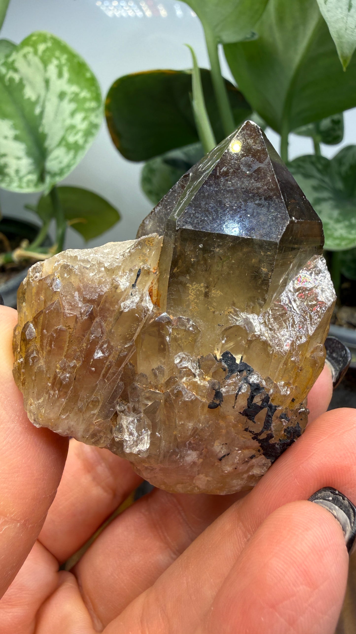 Citrine, var. Kundalini- Luena (Lwena), Democratic Republic of the Congo