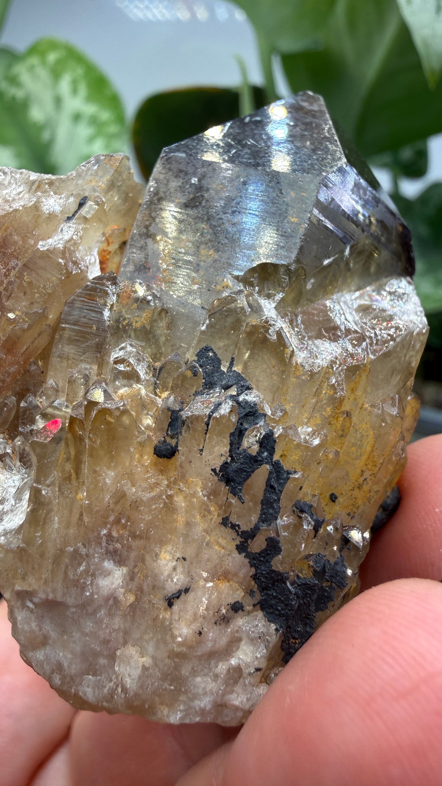 Citrine, var. Kundalini- Luena (Lwena), Democratic Republic of the Congo