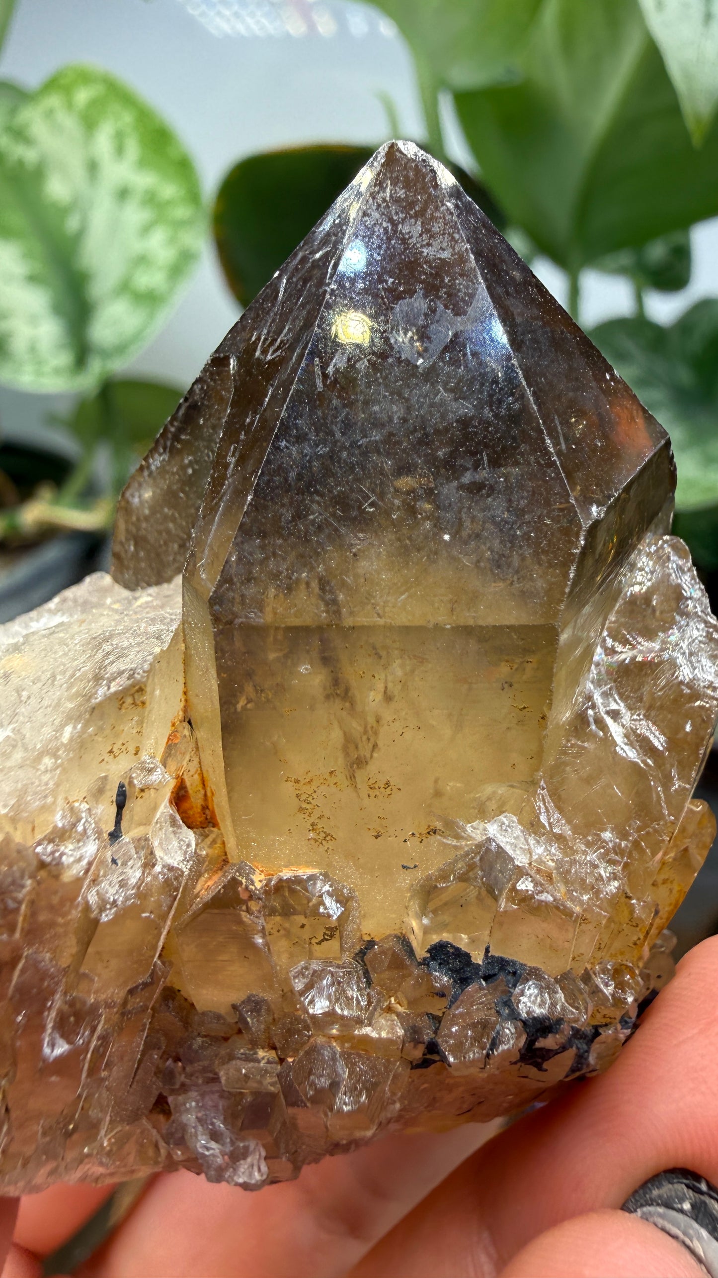 Citrine, var. Kundalini- Luena (Lwena), Democratic Republic of the Congo