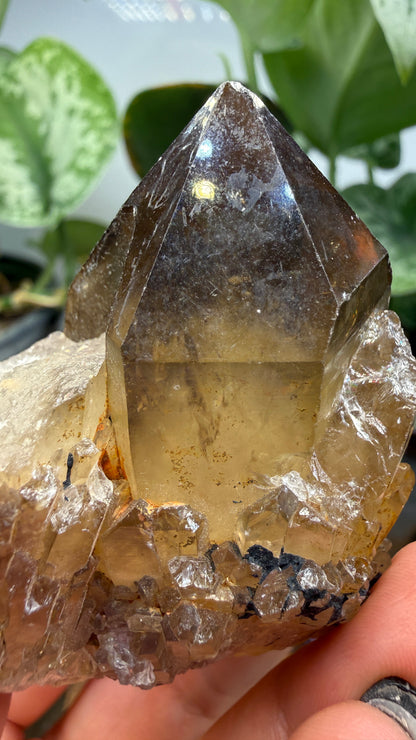 Citrine, var. Kundalini- Luena (Lwena), Democratic Republic of the Congo