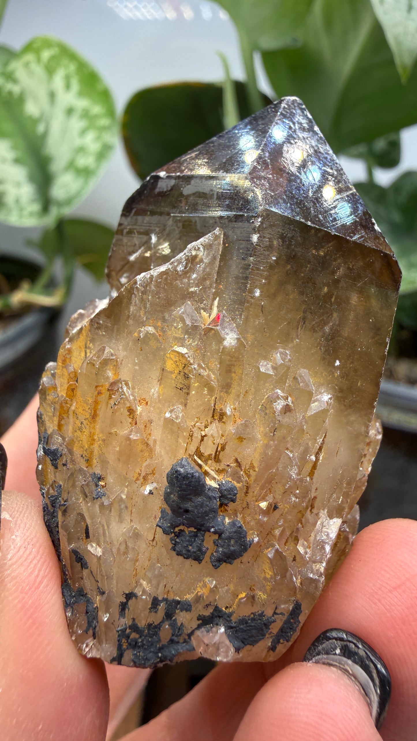 Citrine, var. Kundalini- Luena (Lwena), Democratic Republic of the Congo