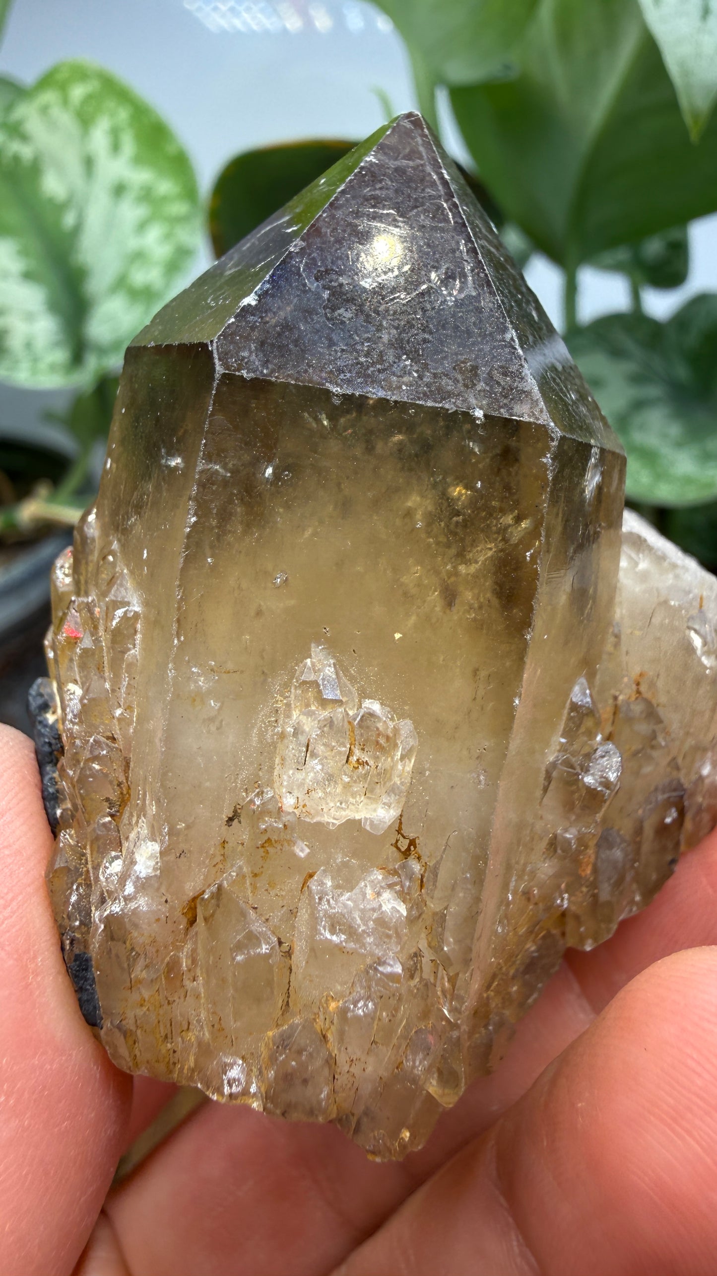 Citrine, var. Kundalini- Luena (Lwena), Democratic Republic of the Congo