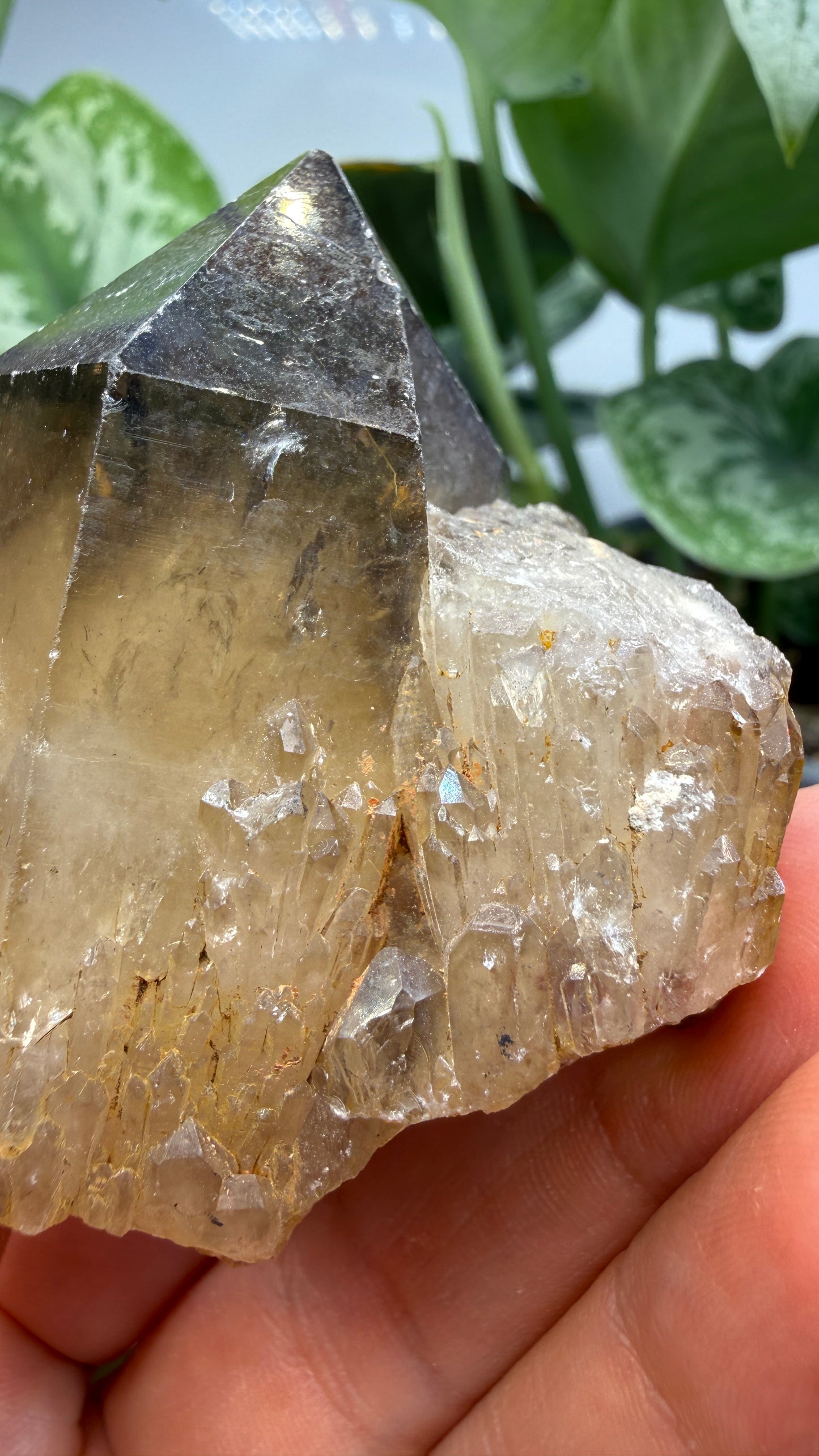 Citrine, var. Kundalini- Luena (Lwena), Democratic Republic of the Congo
