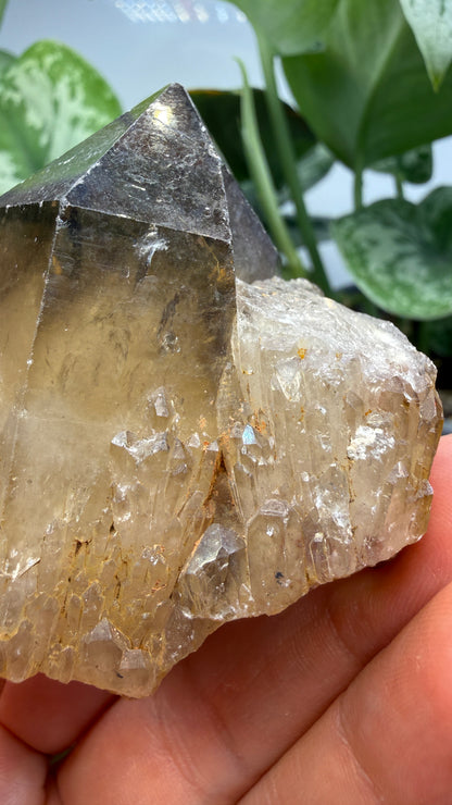 Citrine, var. Kundalini- Luena (Lwena), Democratic Republic of the Congo