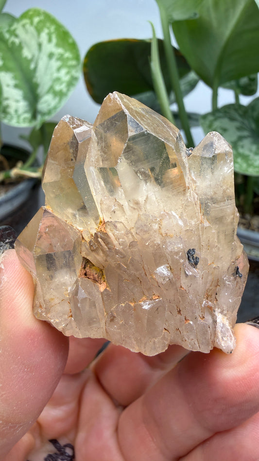 Citrine, var. Kundalini- Luena (Lwena), Democratic Republic of the Congo