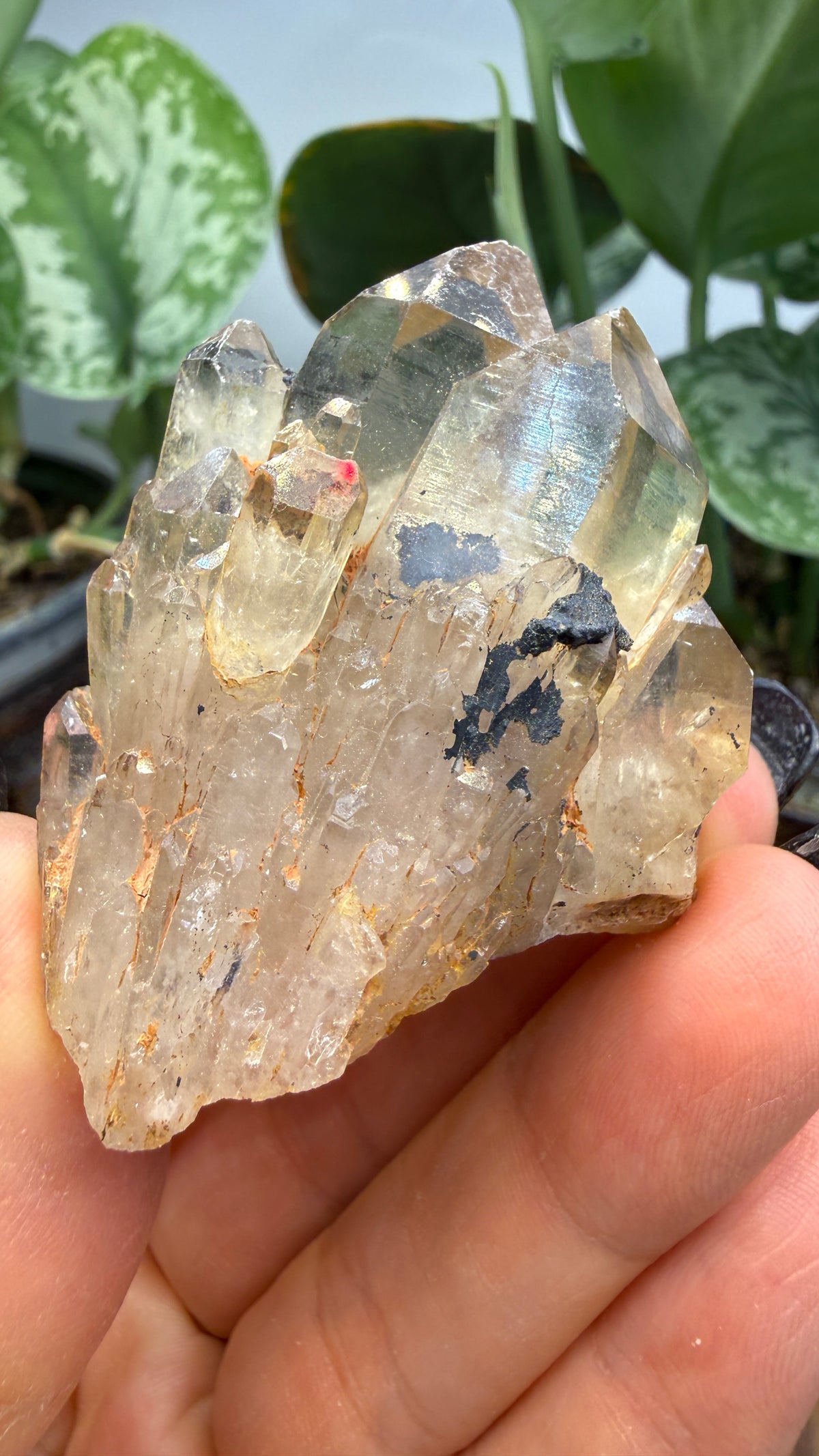 Citrine, var. Kundalini- Luena (Lwena), Democratic Republic of the Congo